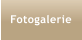 Fotogalerie