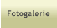 Fotogalerie