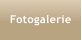 Fotogalerie