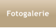 Fotogalerie