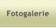 Fotogalerie