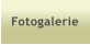 Fotogalerie