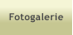 Fotogalerie