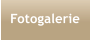 Fotogalerie