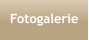 Fotogalerie