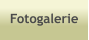 Fotogalerie