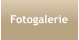 Fotogalerie