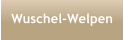 Wuschel-Welpen