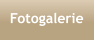 Fotogalerie