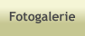 Fotogalerie