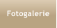 Fotogalerie