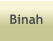 Binah