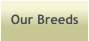 Our Breeds