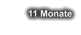11 Monate