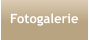 Fotogalerie