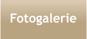 Fotogalerie