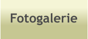 Fotogalerie