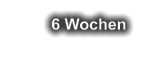 6 Wochen