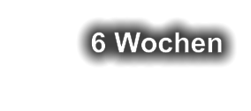 6 Wochen