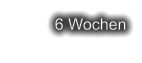 6 Wochen