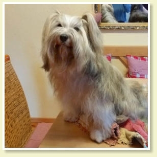 Frisch groomed
