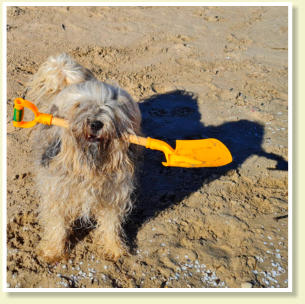 "Spiel mit mir" Oliva Platja
