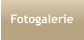 Fotogalerie