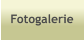 Fotogalerie